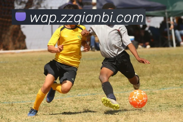 hth华体网页版登录入口APP 高清赛事图